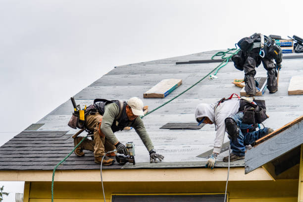 Professional Storm Damage Roof Repair technician working in Woodsboro, TX